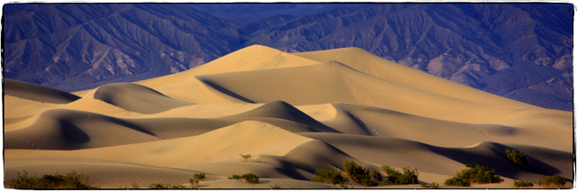 Mesquite Flat Sand Dunes by Trudy Curtis